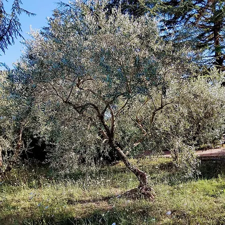 Apartman La Pace