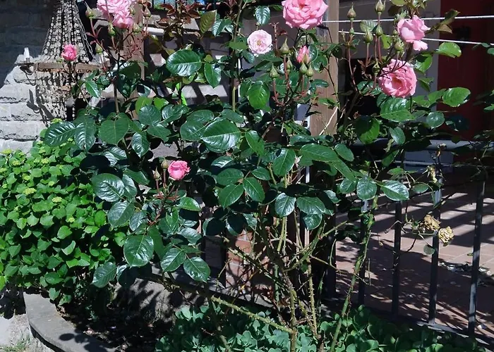 Apartament La Pace Soriano nel Cimino